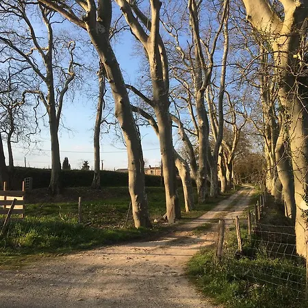 Chambres D'hotes La Ferme D'abdon Mazères